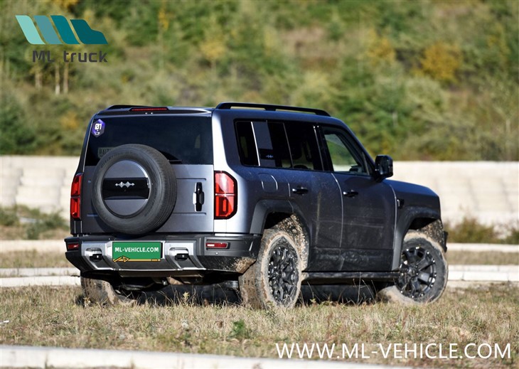 BYD Formula Leopard 5