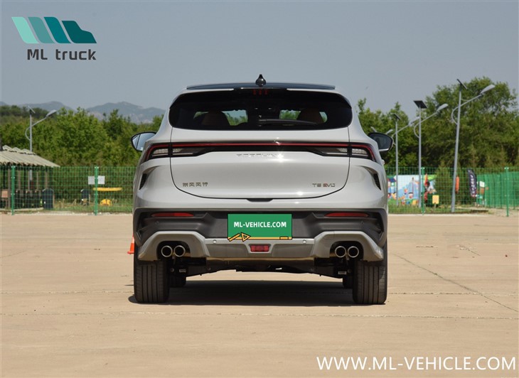 DongFeng Forthing T5 EVO