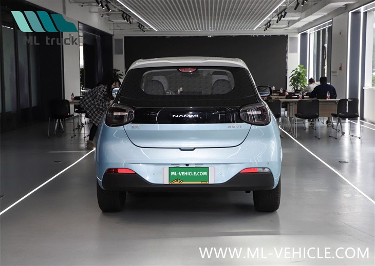 DongFeng Nammi 01