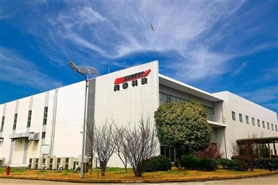 Wentai Technology е принудена да продаде NWF