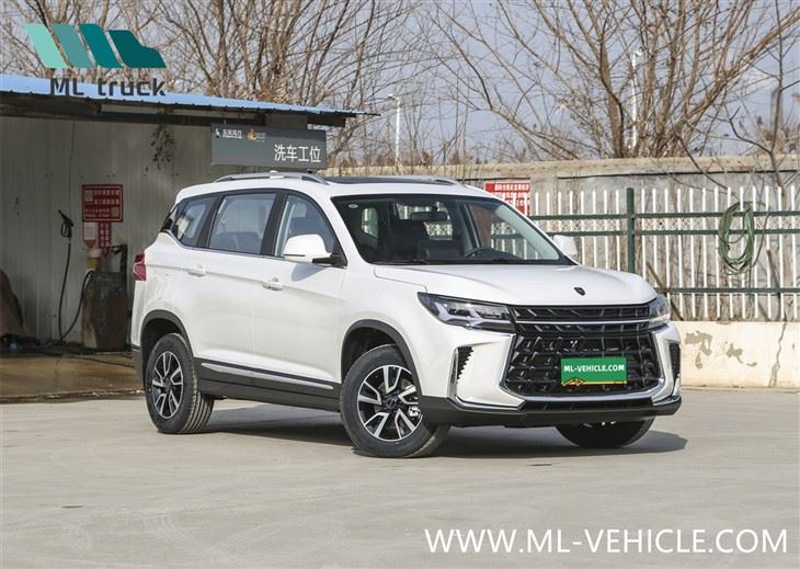 2024 DongFeng Forthing T5 SUV