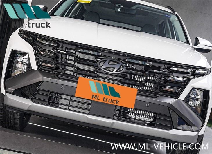 2025 Hyundai Tucson L SUV