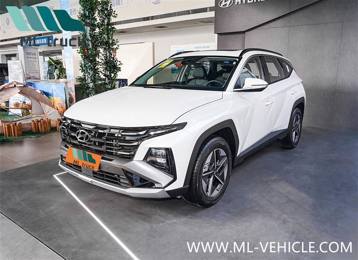 2025 Hyundai Tucson L SUV