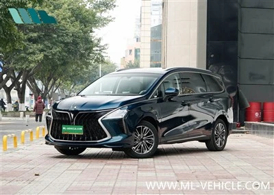 2024 DongFeng Forthing 1.5T DCT яхта MPV