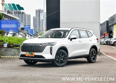 2024 HAVAL H6 SUV